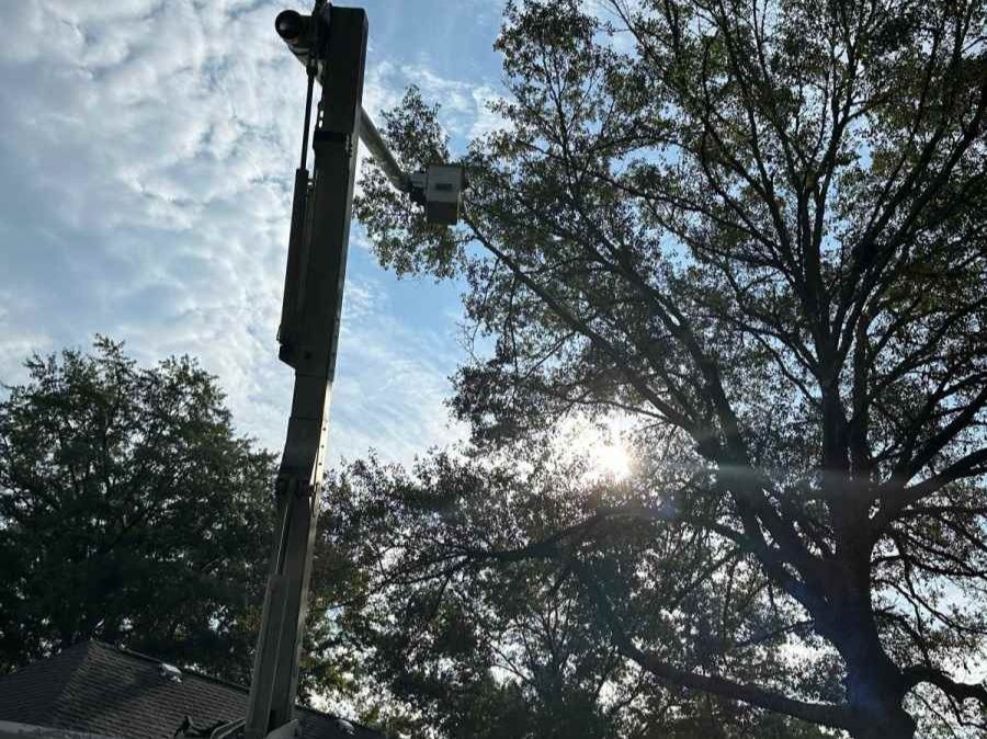 El Costeño Tree Service LLC